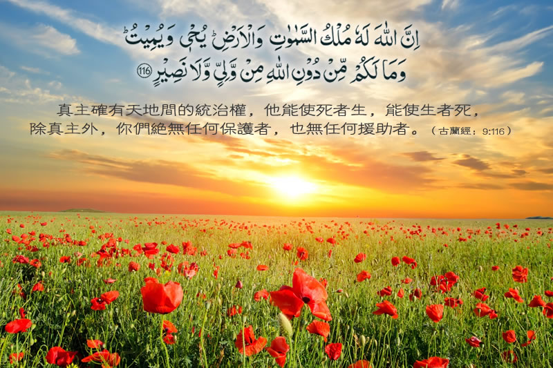 伊斯蘭自有安拉的保護，我們要做的就是不要在“穆斯林”的尊稱上行虧