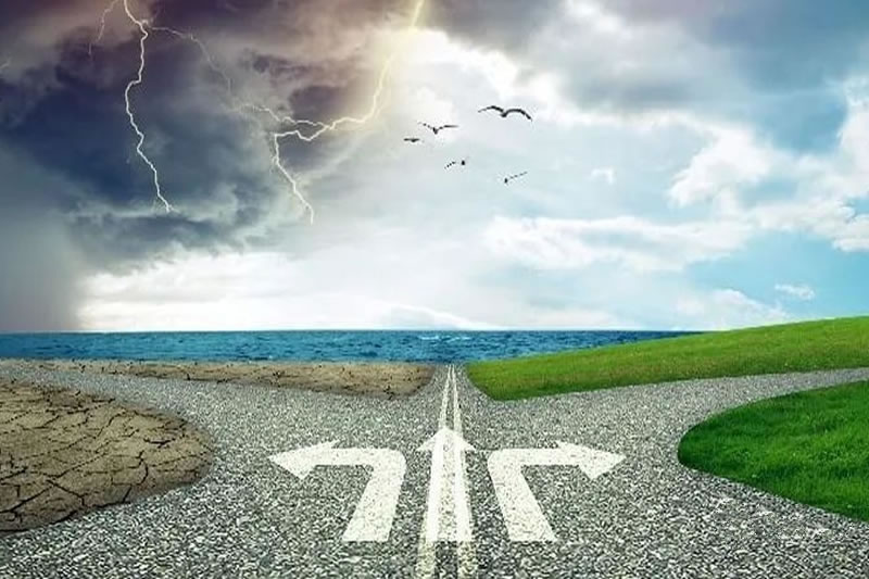 當代穩麥的病患與醫治的良方