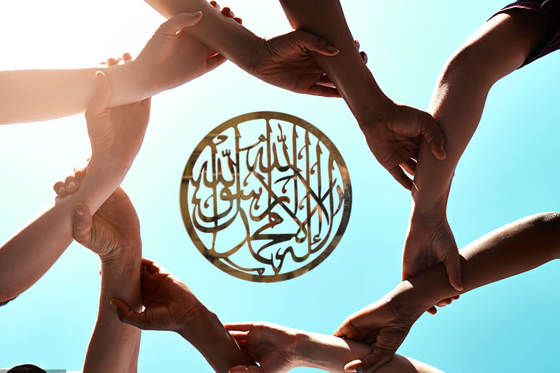 莫使團結成空談