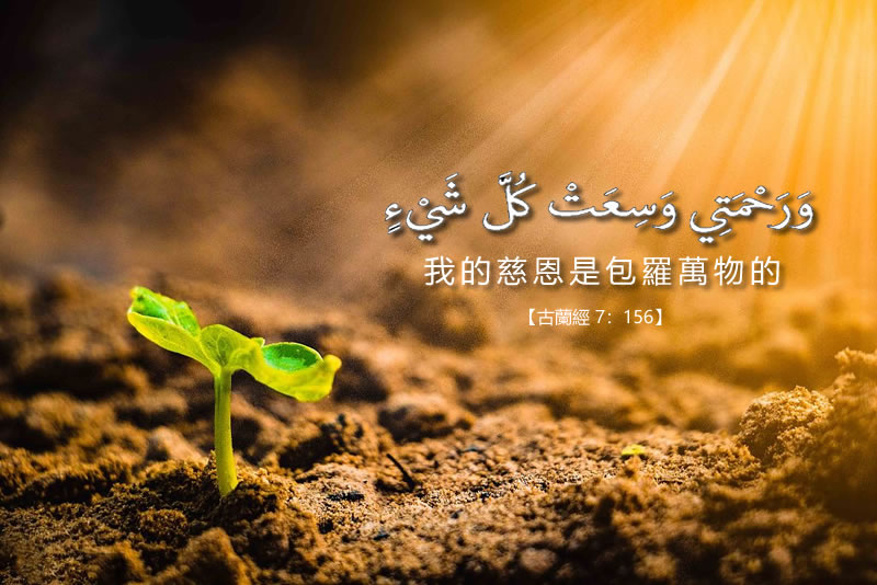 穆斯林無原罪  真主普慈眾生