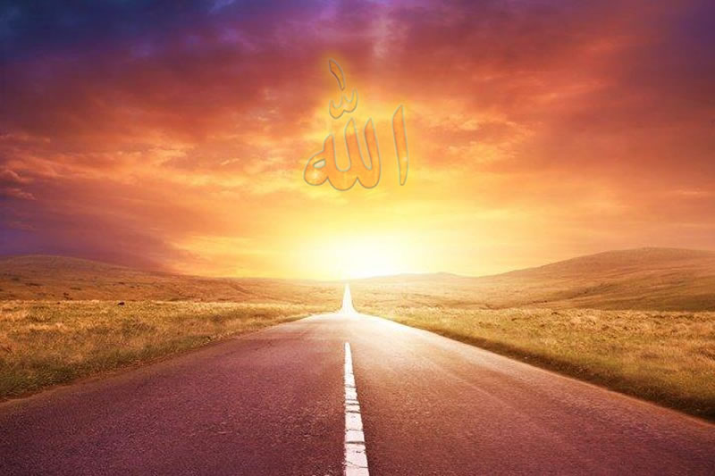獲取安拉的喜悅是信士的終極目標