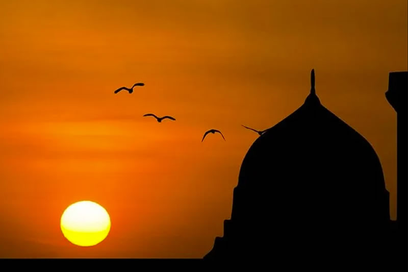 真主根據人類本性而確立人權