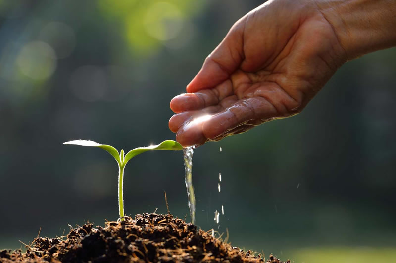 伊斯蘭道德的廣泛性