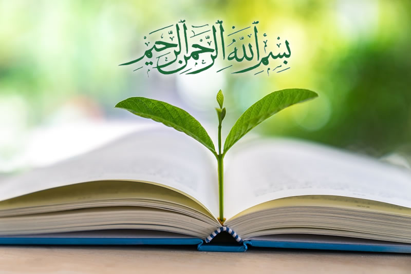 伊斯蘭教育的現實性