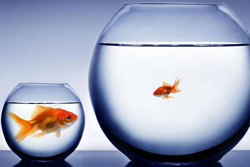 生活的不公——真相與啟示