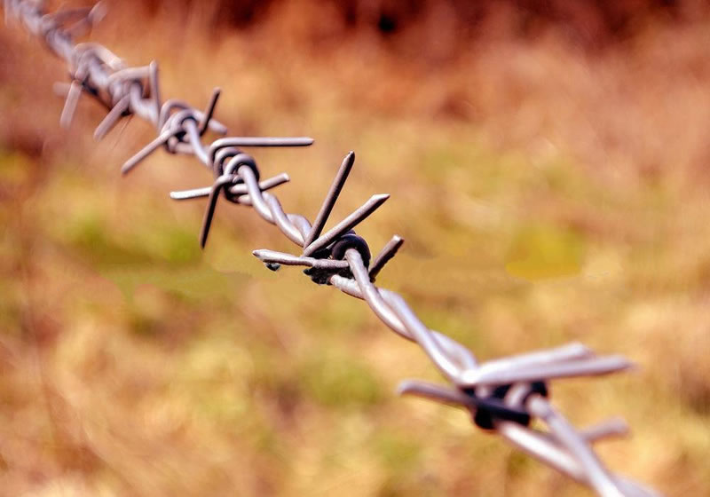  “隨拉特橋”是怎樣的？