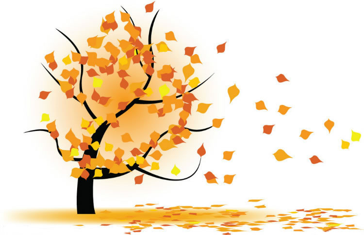 禍患就是對穆斯林過錯的饒恕