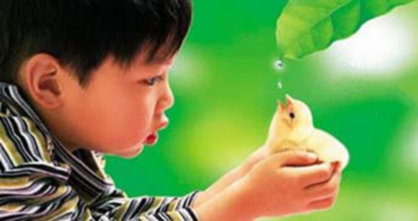 人體的每個關節均應施捨