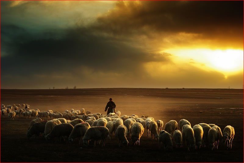 每個人都是監護人 都是有責任的