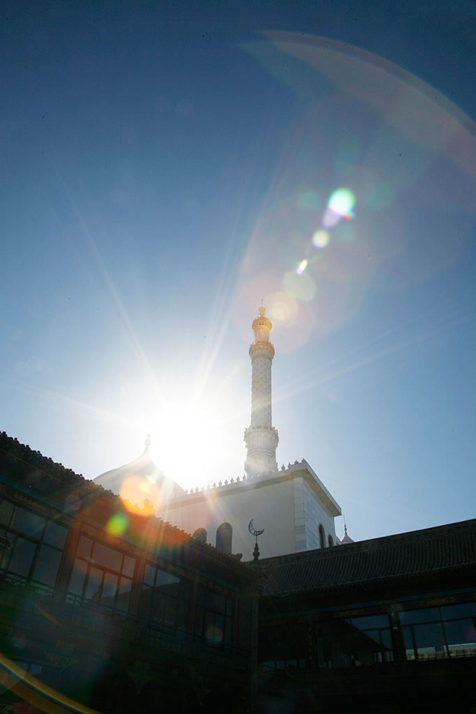 安拉濃蔭下乘涼的七種人