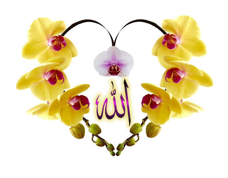 一切工作 全憑舉意