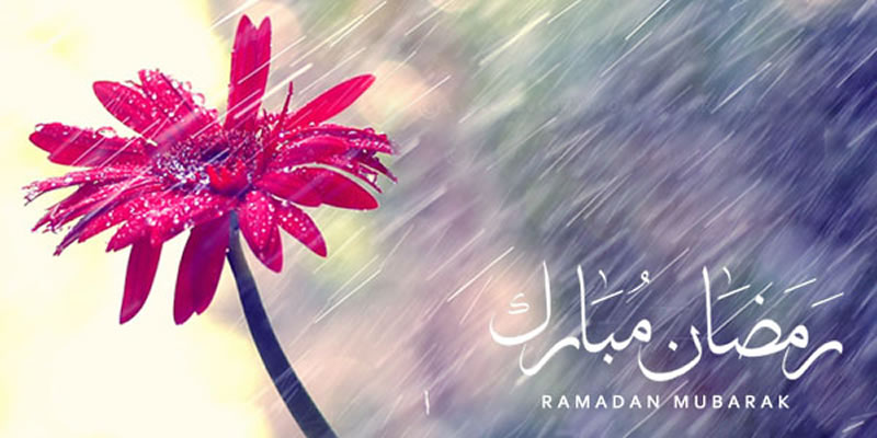 齋月——久旱逢甘霖