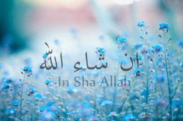 美國皈依牧師傑拉德博士解釋“印沙安拉”