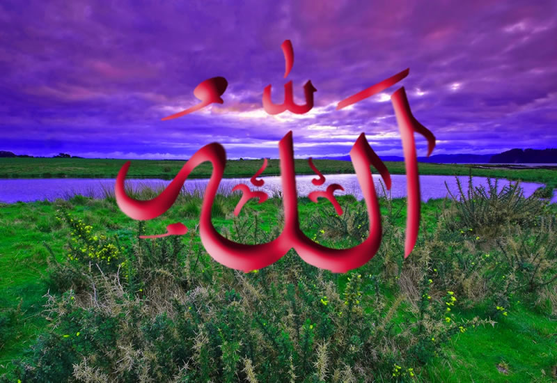 如何獲得安拉的喜愛？