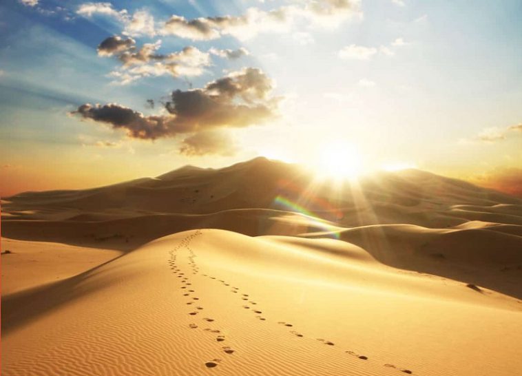 關於遷徙的十大要點