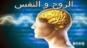 靈魂魯哈（الروح）和性靈乃夫斯（النفس）的區別