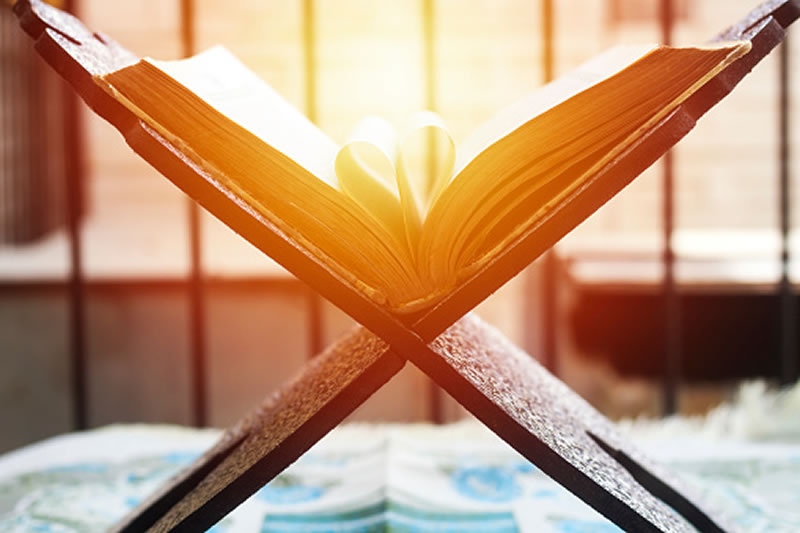 古蘭經中的8種健康之心和12種病態之心