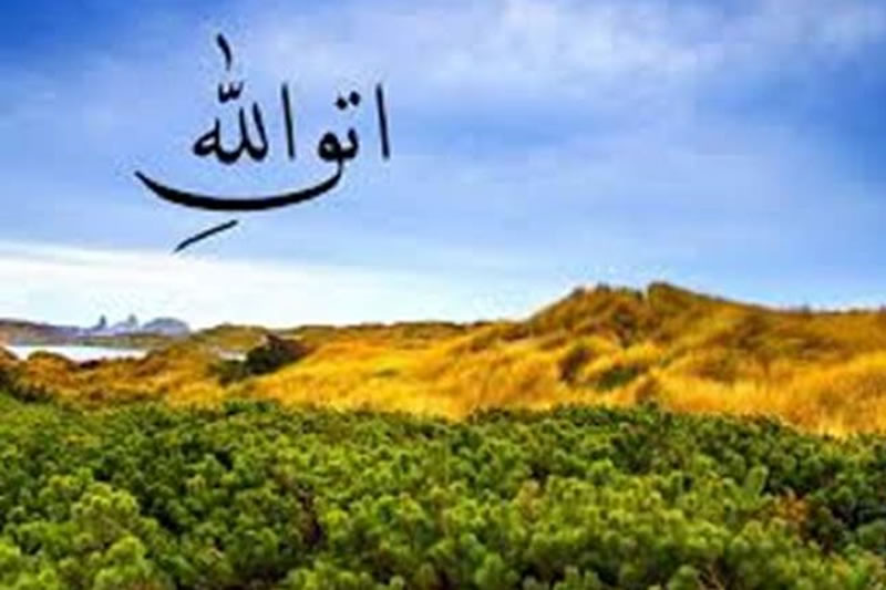 齋月學古蘭：最尊貴者是最敬畏者