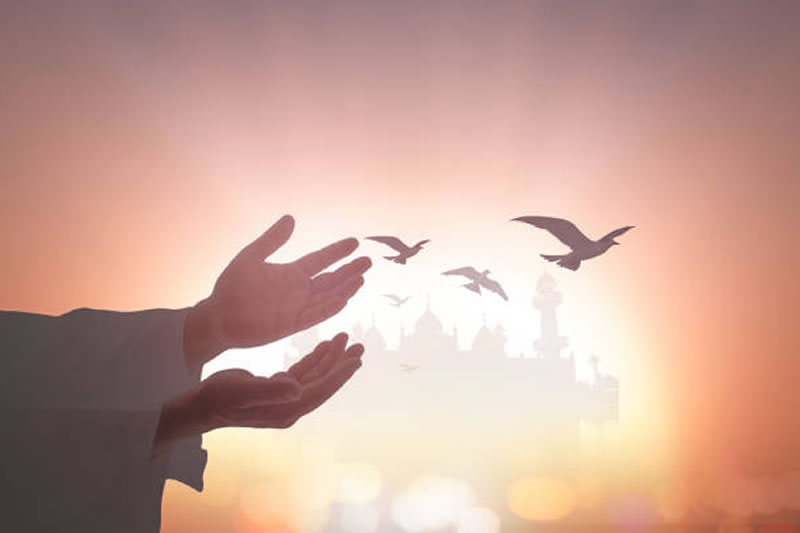 齋月學古蘭：安拉只接受敬畏者的善功