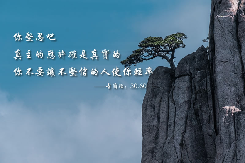 安拉以堅忍者所行的最大善功報酬他們