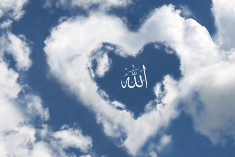 安拉對信士的承諾